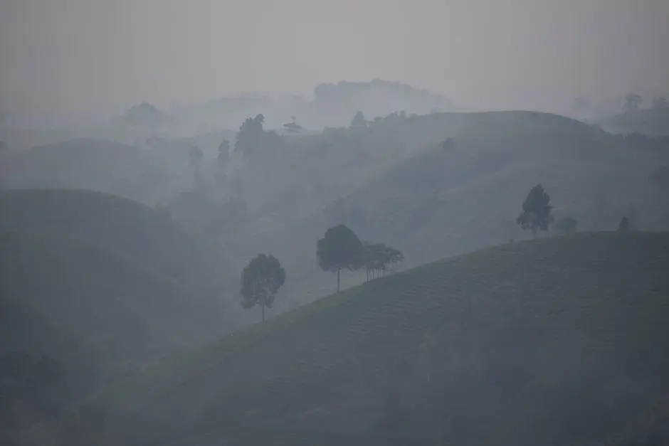 Pemandangan Bukit Pattallassang